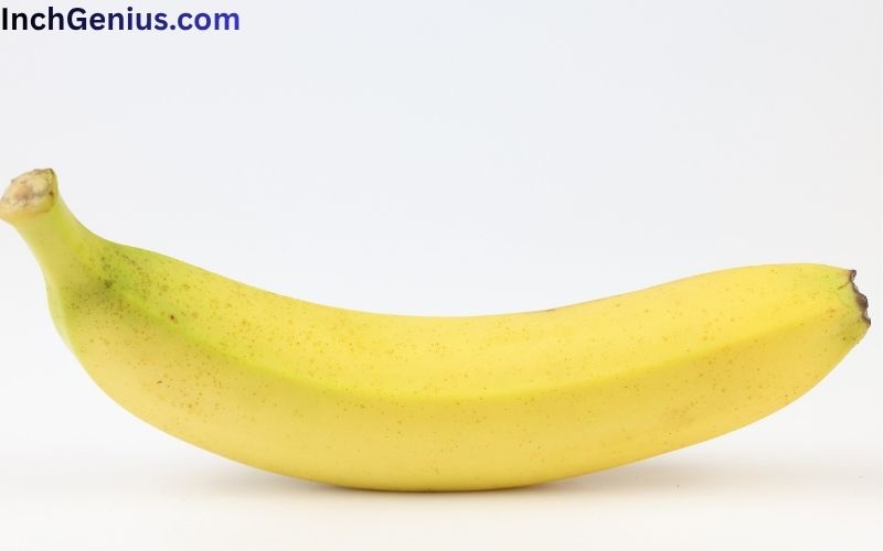 How Long is 10 Inches?