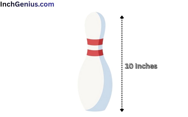 How Long is 10 Inches?