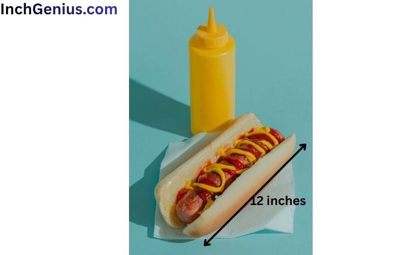 How Long is 12 Inches?