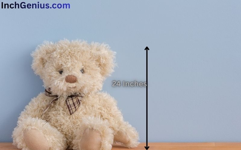 How Long is 24 Inches?