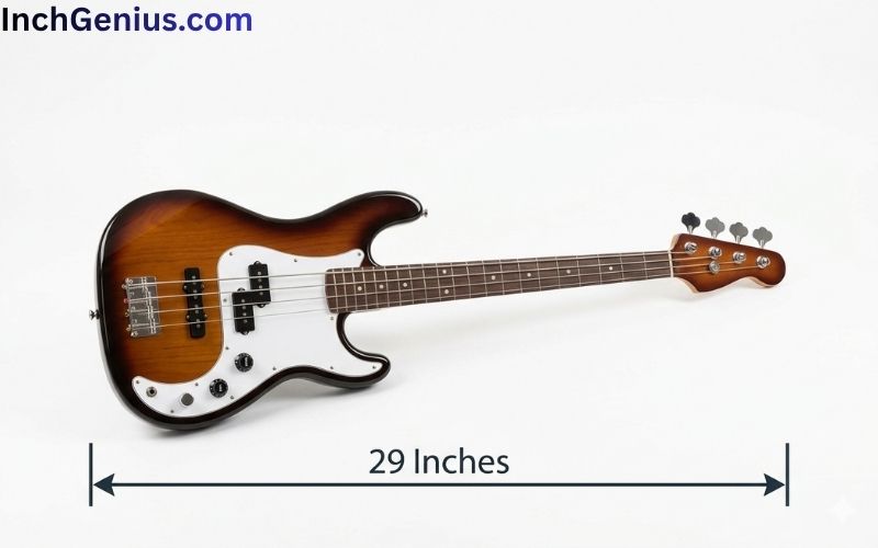 How Long is 29 Inches?
