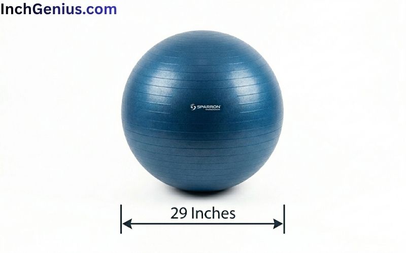 How Long is 29 Inches?