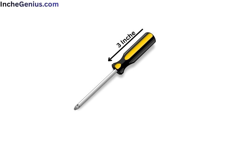 How Long is 3 Inches?