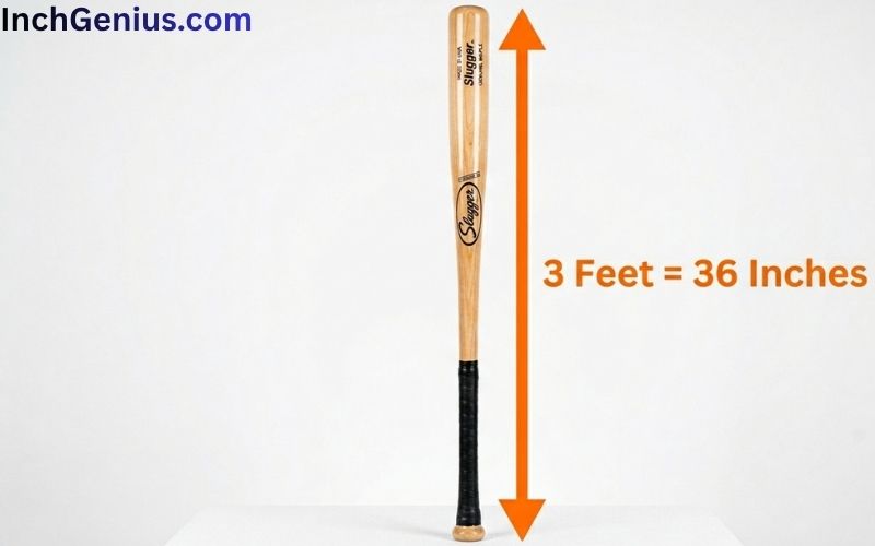 How Long is 3 Feet?