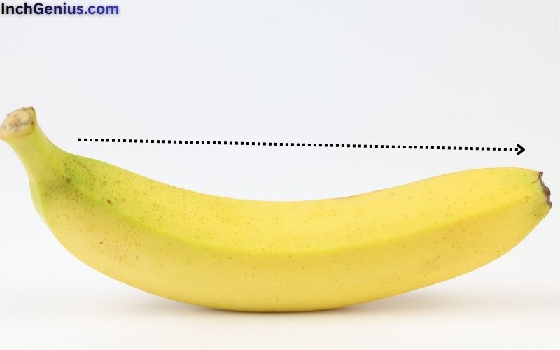 How Long is 4 Inches?