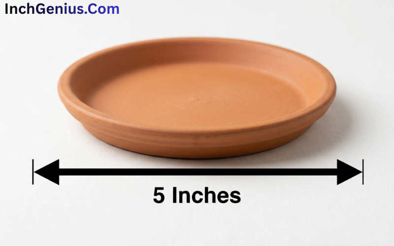 How Long is 5 Inches