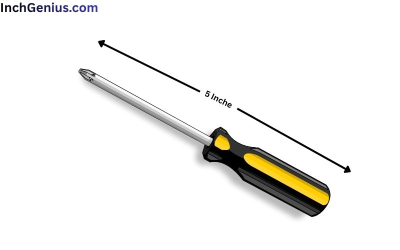 How Long is 5 Inches?