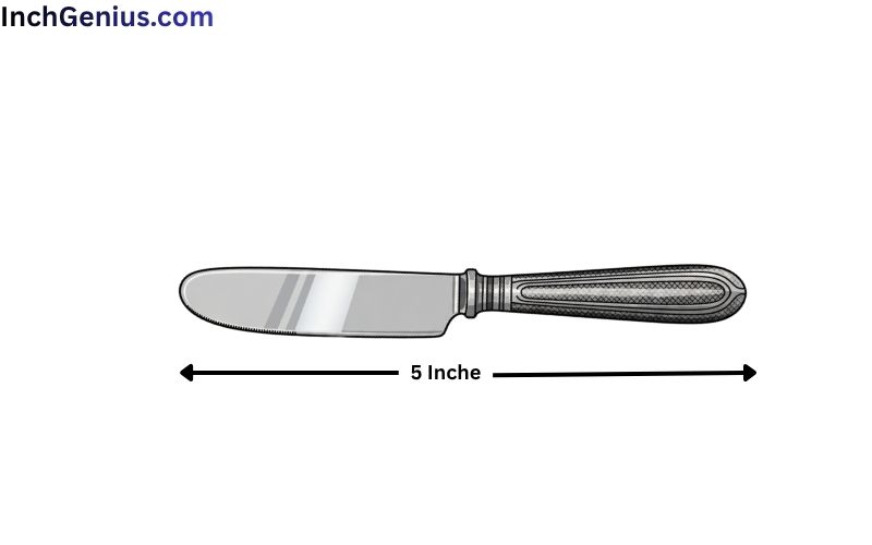 How Long is 5 Inches?