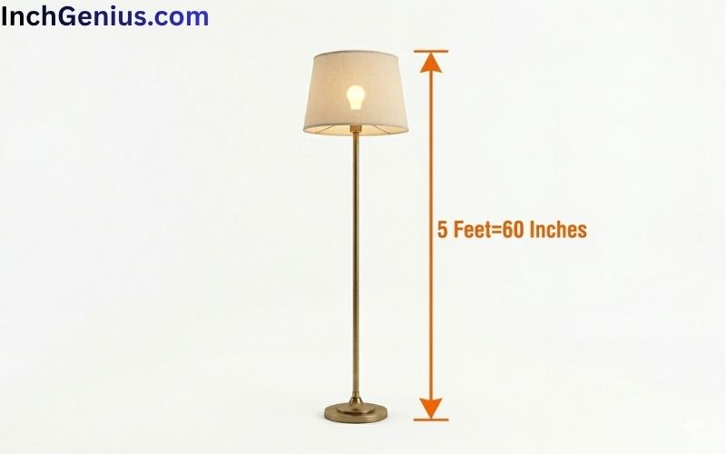 How Long is 5 Feet?