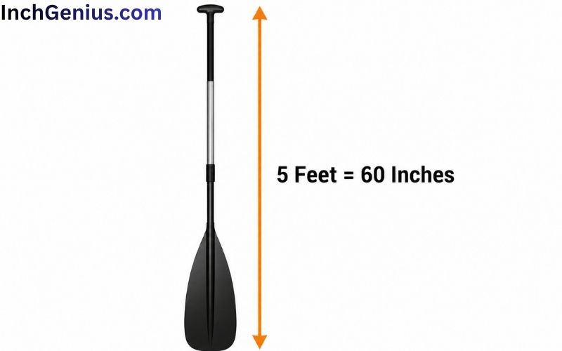 How Long is 5 Feet?