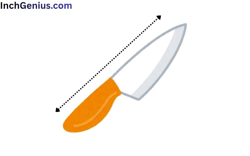 How Long is 6 Inches?