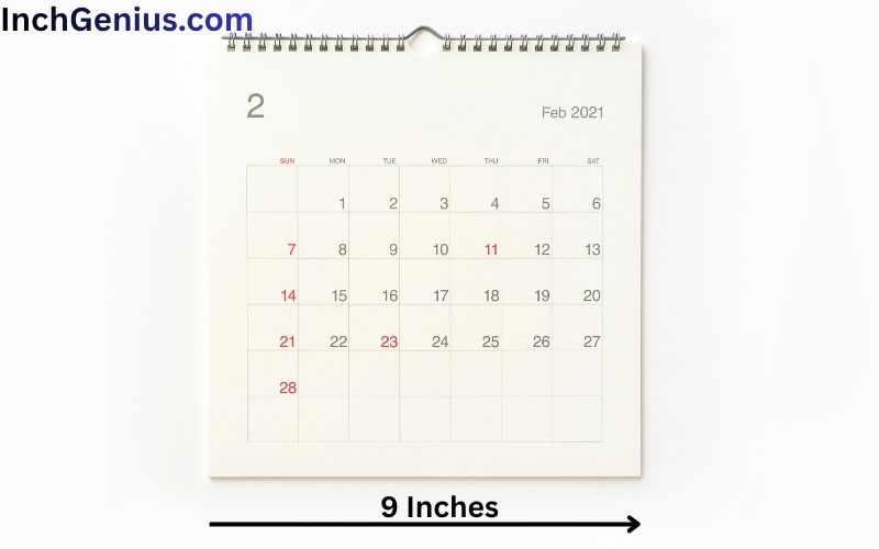 How Long is 9 Inches?