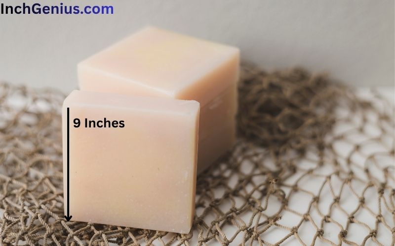 How Long is 9 Inches?