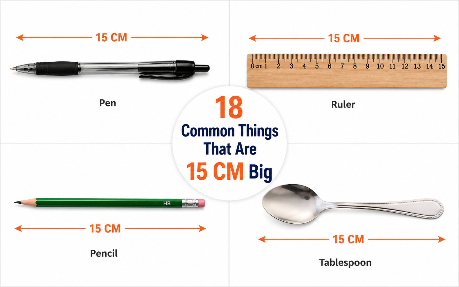 18 Common Things That Are 15cm Big - inchgenius.com
