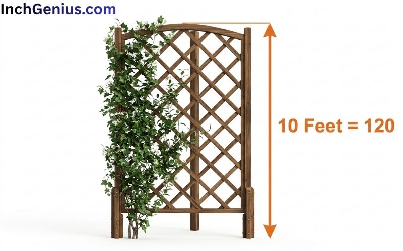 How Long is 10 Feet?