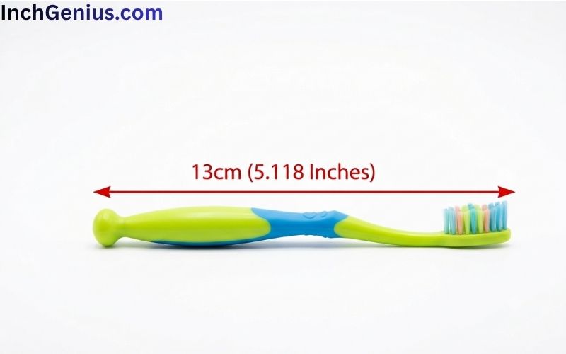 How Long Is 13cm Big?
