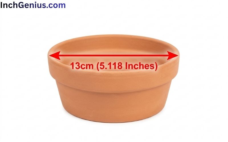 How Long Is 13cm Big?
