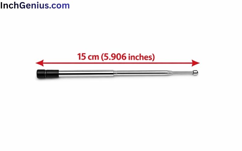 How Long is 15cm Big?