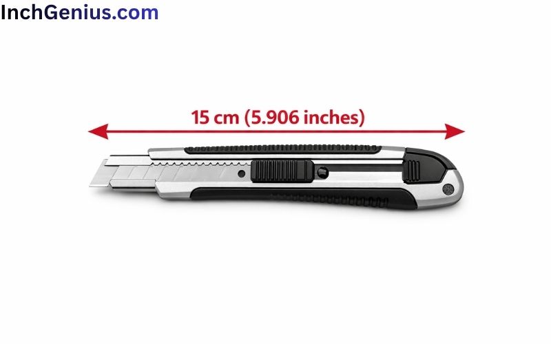 How Long is 15cm Big?