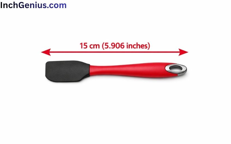 How Long is 15cm Big?