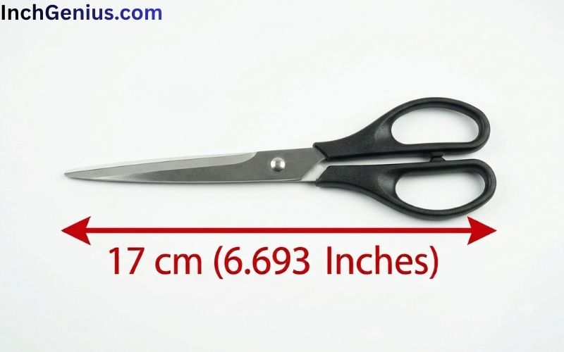 How Long is 17cm Big?