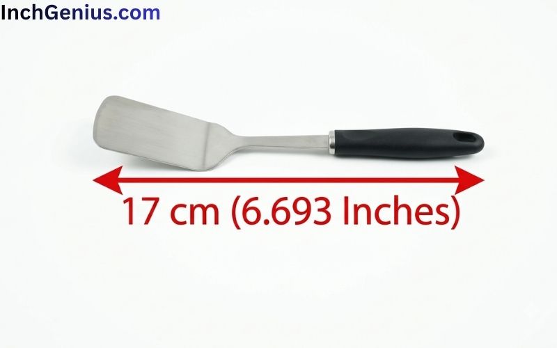 How Long is 17cm Big?