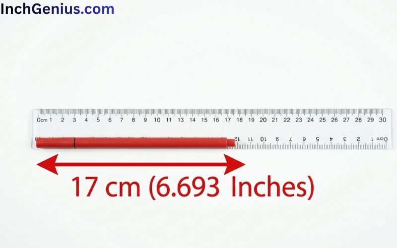 How Long is 17cm Big?