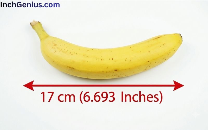 How Long is 17cm Big?