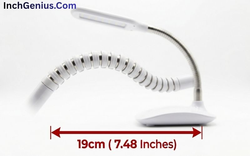 How Long is 19 CM?