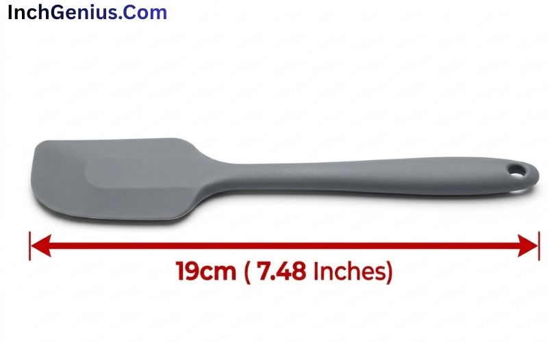 How Long is 19 CM?
