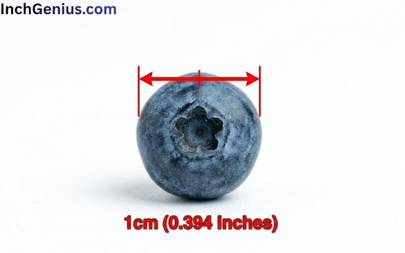 How Long is 1cm Big?