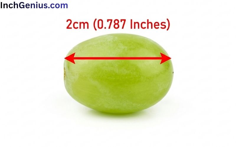 How Long is 2cm Big?