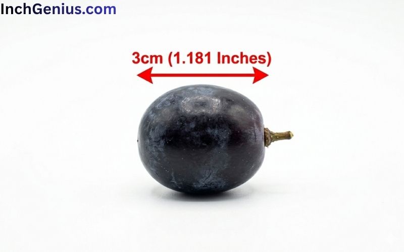 How Long is 3cm Big?
