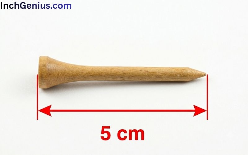 How Long is 5cm Big?