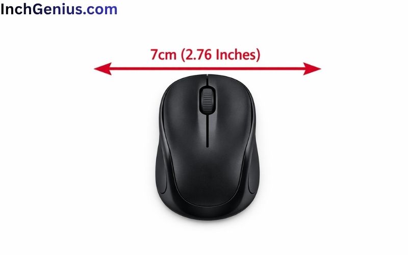 How Long is 7cm Big?