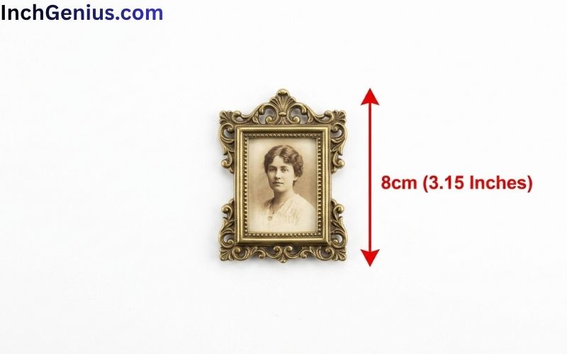 How Long is 8cm Big?