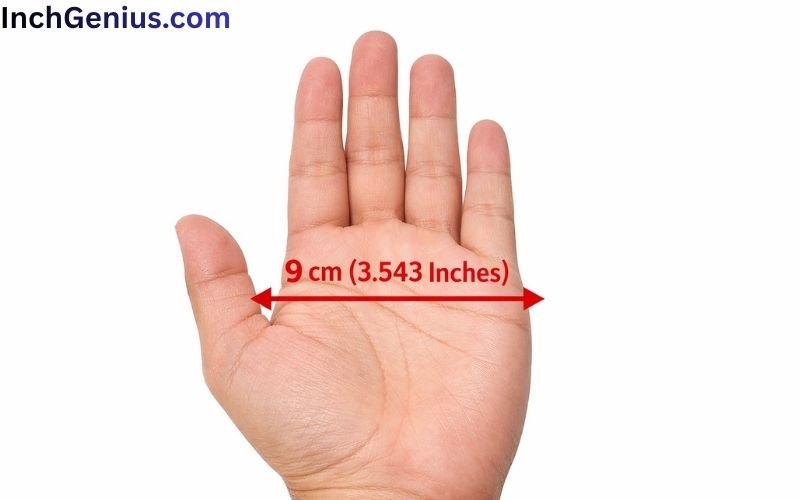 How Long is 9cm Big?