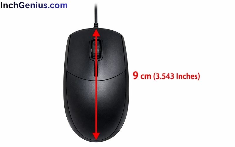 How Long is 9cm Big?