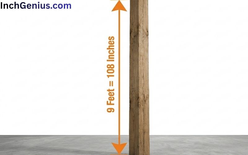 How Long is 9 Feet?