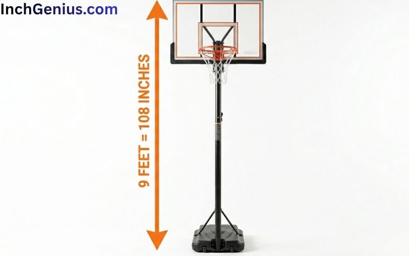 How Long is 9 Feet?