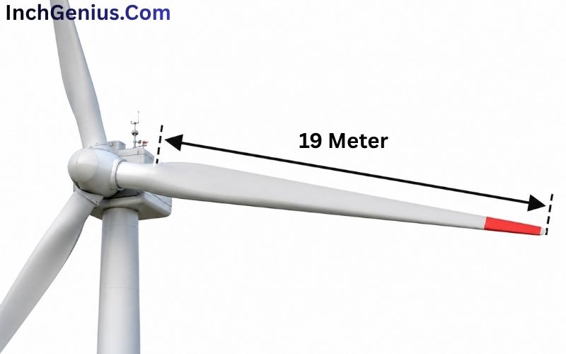 How Long is 19 Meter?