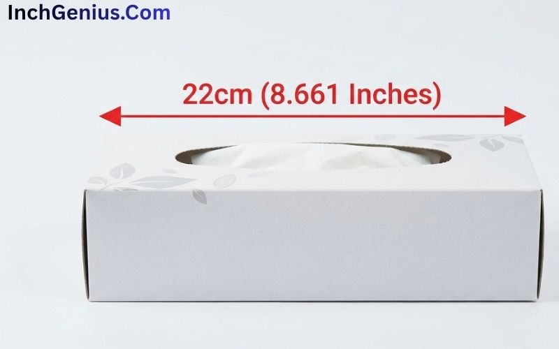 How Big is 22 CM?