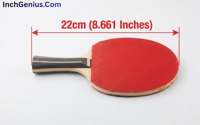 How BIg is 22 CM?