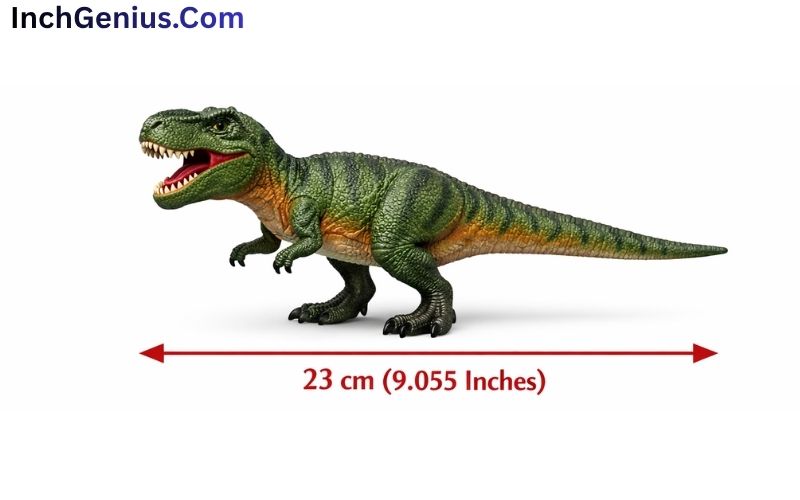 How Big is 23 CM?