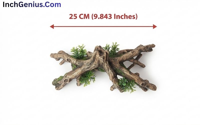How Big is 25 CM?