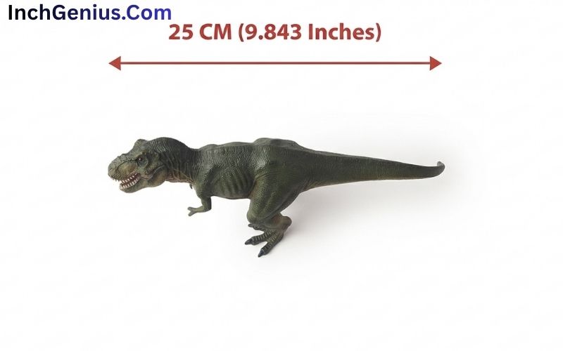 How Big is 25 CM?