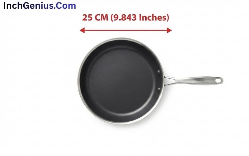 How Big is 25 CM?