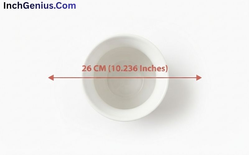 How Big is 26 CM?