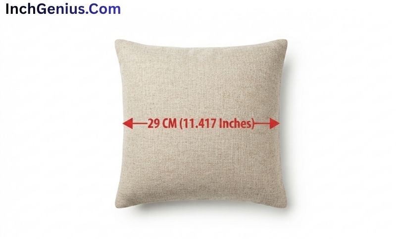 How Big is 29 CM?