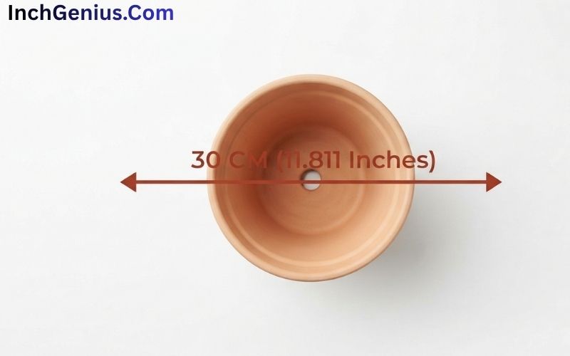 How Big is 30 CM?